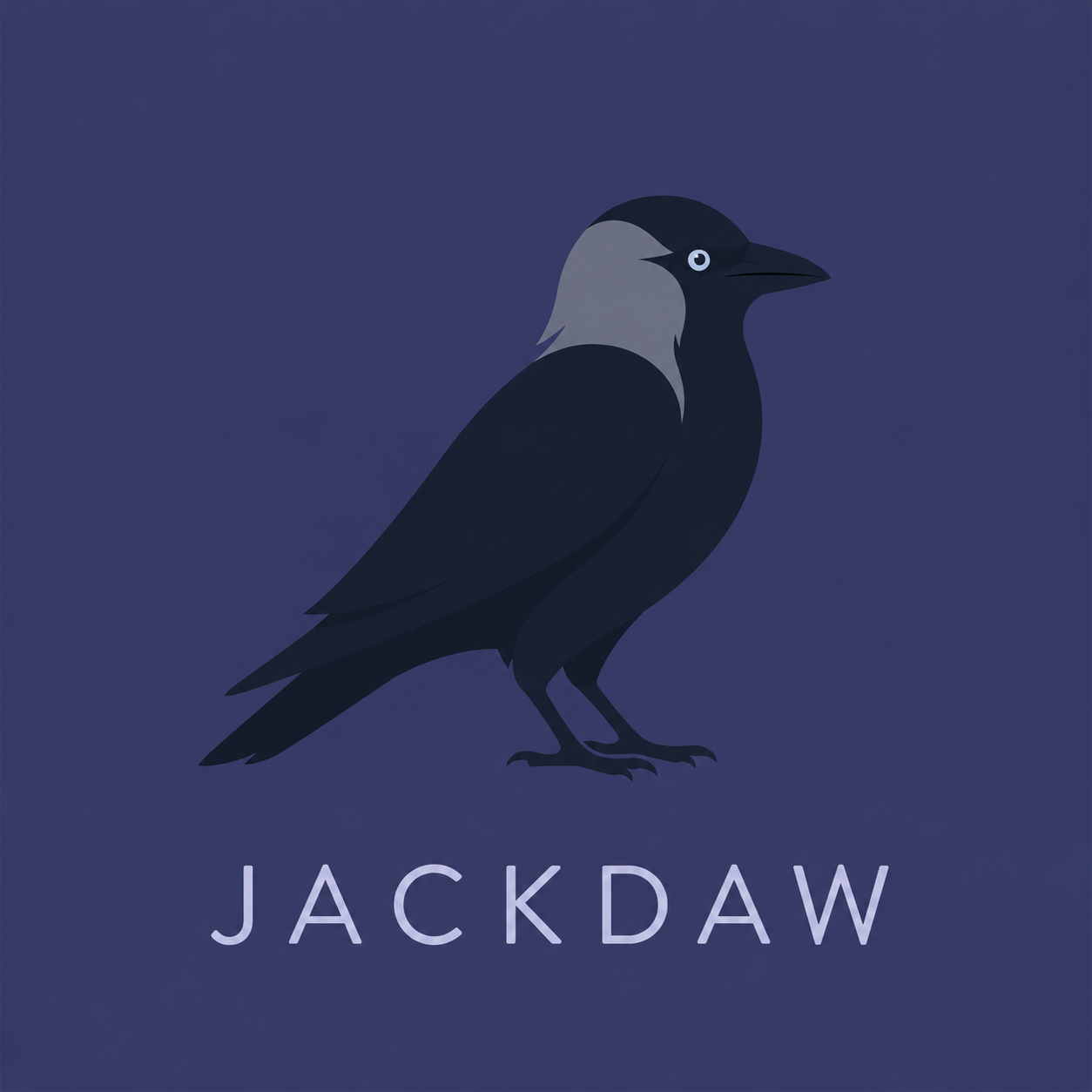 Jackdaw Book